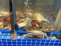 -半岛听涛蒸汽海鲜自助(K11店)