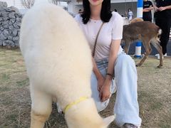 -Blue Concept Cafe&Farm·關於藍