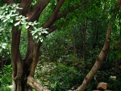 -成都市活水公园