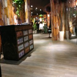 点击看大图 -藤野造型