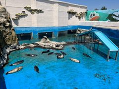 -秦皇岛乐岛海洋王国