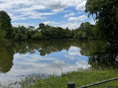 -新荣记(西溪湿地店)