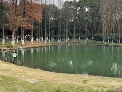 -新洲生态园