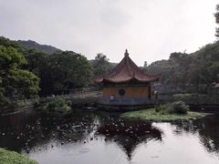 -普陀山风景名胜区-法雨禅寺