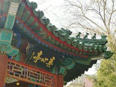 -月坛公园
