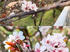 -大理洱海