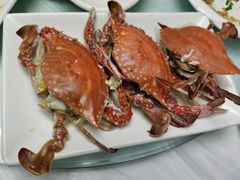 -金海湾海鲜排档(朱家尖店)