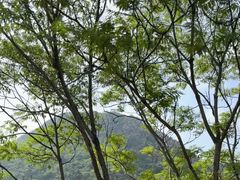 -金龙寺国家森林公园
