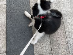 -佳雯宠物医院(金华南路分院)