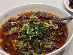 -新吉士·上海菜(浦东LCM置汇旭辉店)