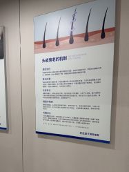 -碧莲盛不剃发植发