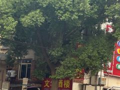 -文华酒楼