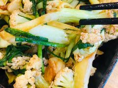 -邵年鸽(杨庄店)