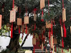 -东山雕花楼