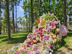 -杭州湾海上花田景区