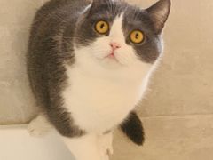 -荔康动物医院(康王北路店)