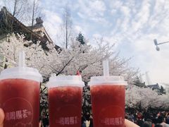 -鸡鸣赐茶(鸡鸣寺路店)