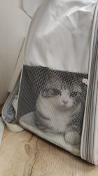 -亦美瑜伽·普拉提