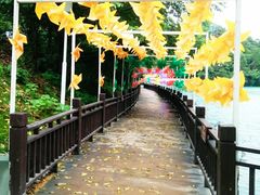 -石燕湖生态旅游景区