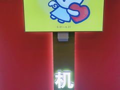 -摩天活力城·摩天轮