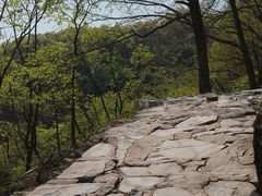 -北京鹫峰国家森林公园