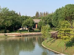 -上海海湾国家森林公园