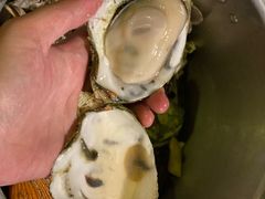 -土蚝·高压锅生蚝(百姓美食街店)