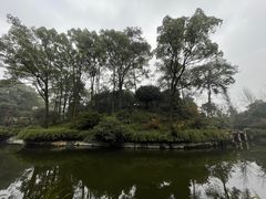 -南山植物园