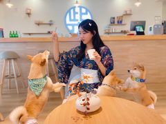 -柴犬小屋·柴餐厅·狗咖食堂(金鼎广场店)