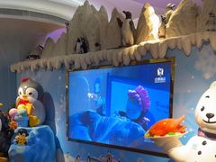 -帝企鹅自助餐厅•儿童岛•真企鹅(长隆企鹅酒店)