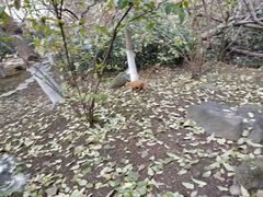 -南京市江宁方山