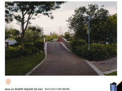 -王借岗森林公园