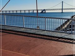-星海湾跨海大桥