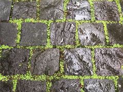 -宁波五龙潭景区