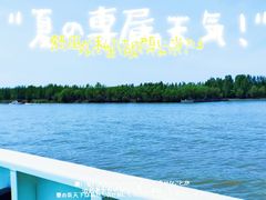 -台儿庄古城