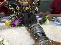 -强记海鲜·大排档(蛇口新街店)