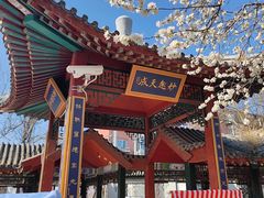 -桃花堤公园