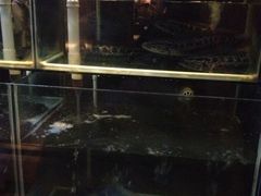 iphone_upload_pic-鱼酷活鱼烤鱼(人信汇商场店)