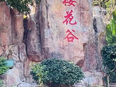 -狐尾山公园