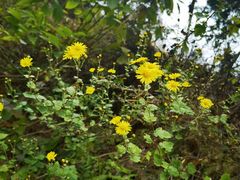 -萍乡武功山风景名胜区