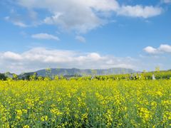 -光明小镇欢乐田园