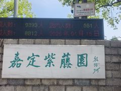 -嘉定紫藤园