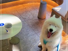 -大小咖啡 BigSmallCoffee(麦子店)