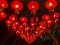 -武汉园博园(武汉自然博物馆)