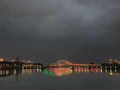 -五缘湾湿地公园