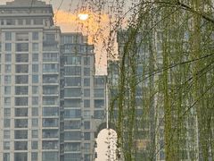 -西北湖绿化广场