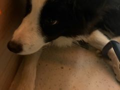 -CAMP.33露营烤肉·团建聚餐(创智天地店)