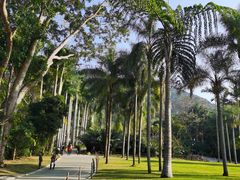 -深圳仙湖植物园