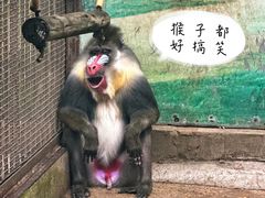 -昆明动物园