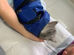 -瑞派福兴宠物医院犬猫全科·骨科·中西医结合(河东店)